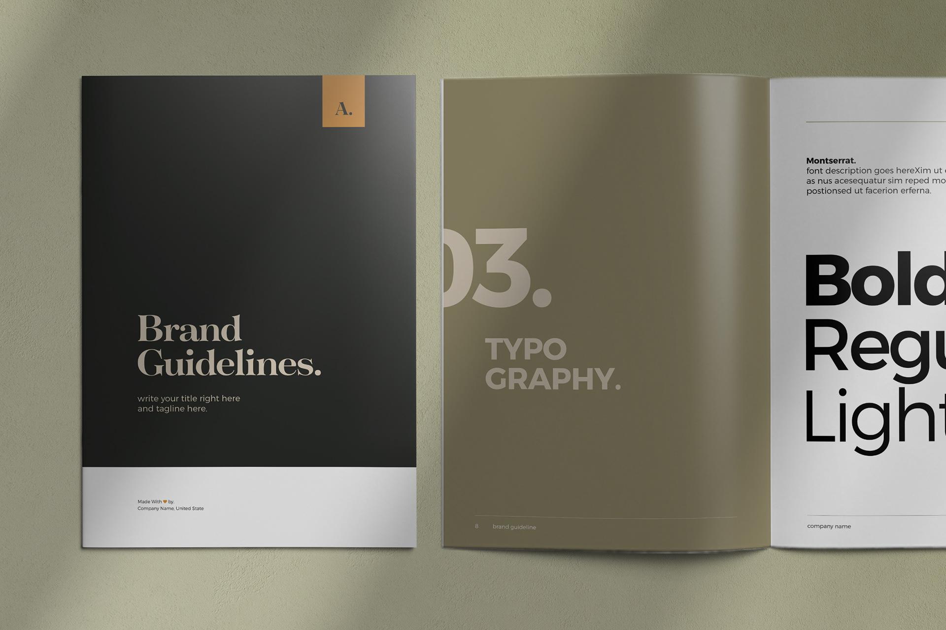 Brand Guidelines and Identity Systems