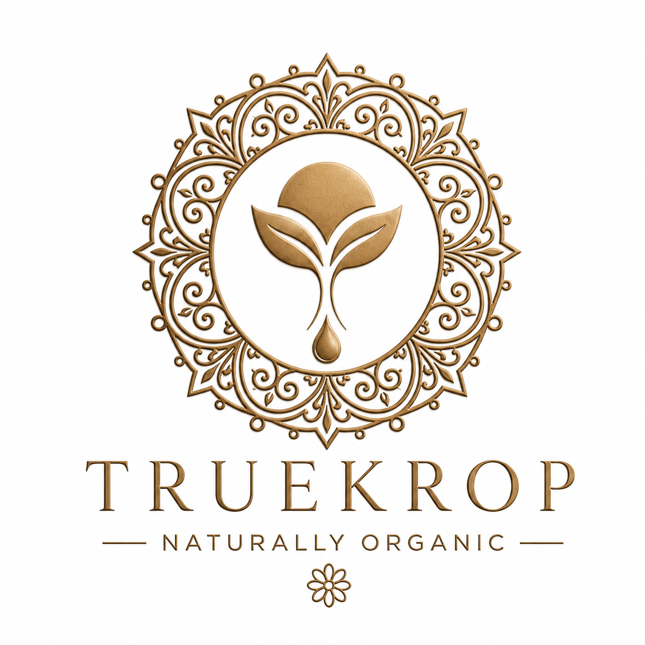 Our Clients | Trusted by Businesses Worldwide