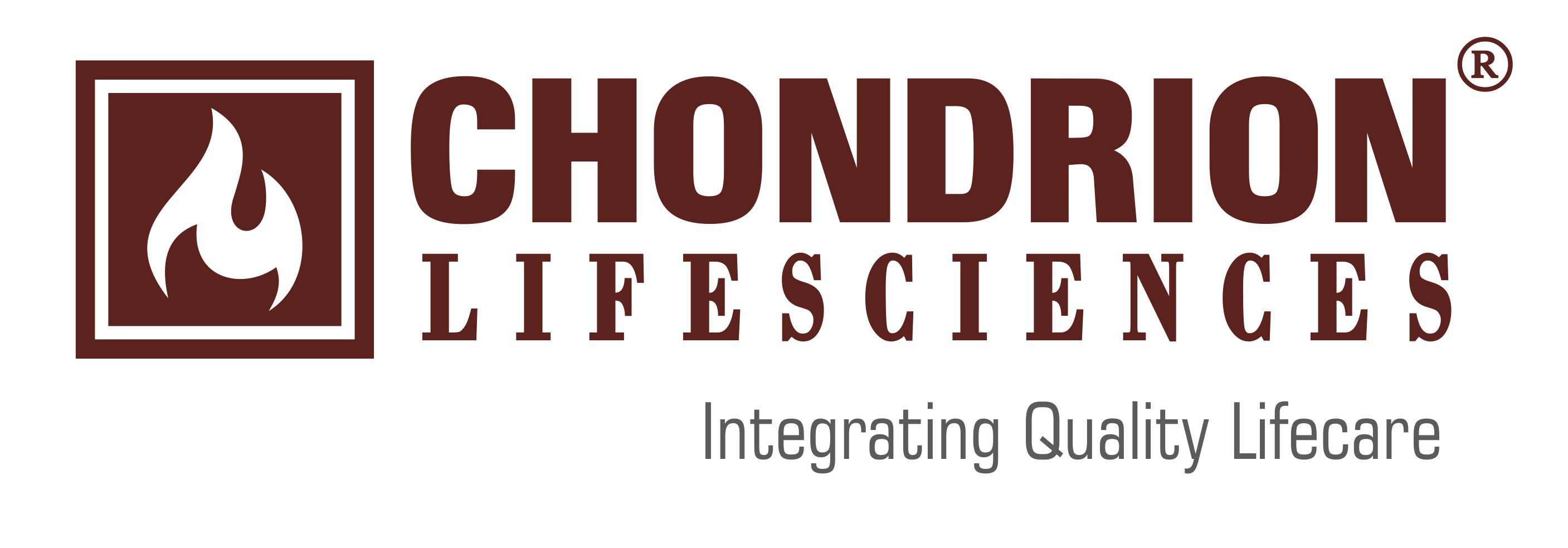 Our Clients | Trusted by Businesses Worldwide